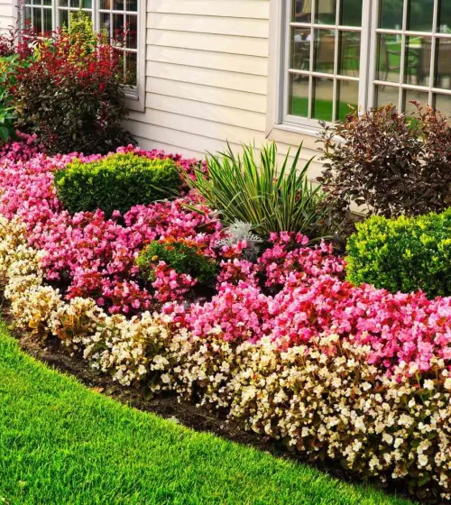 FLOWER-BEDS